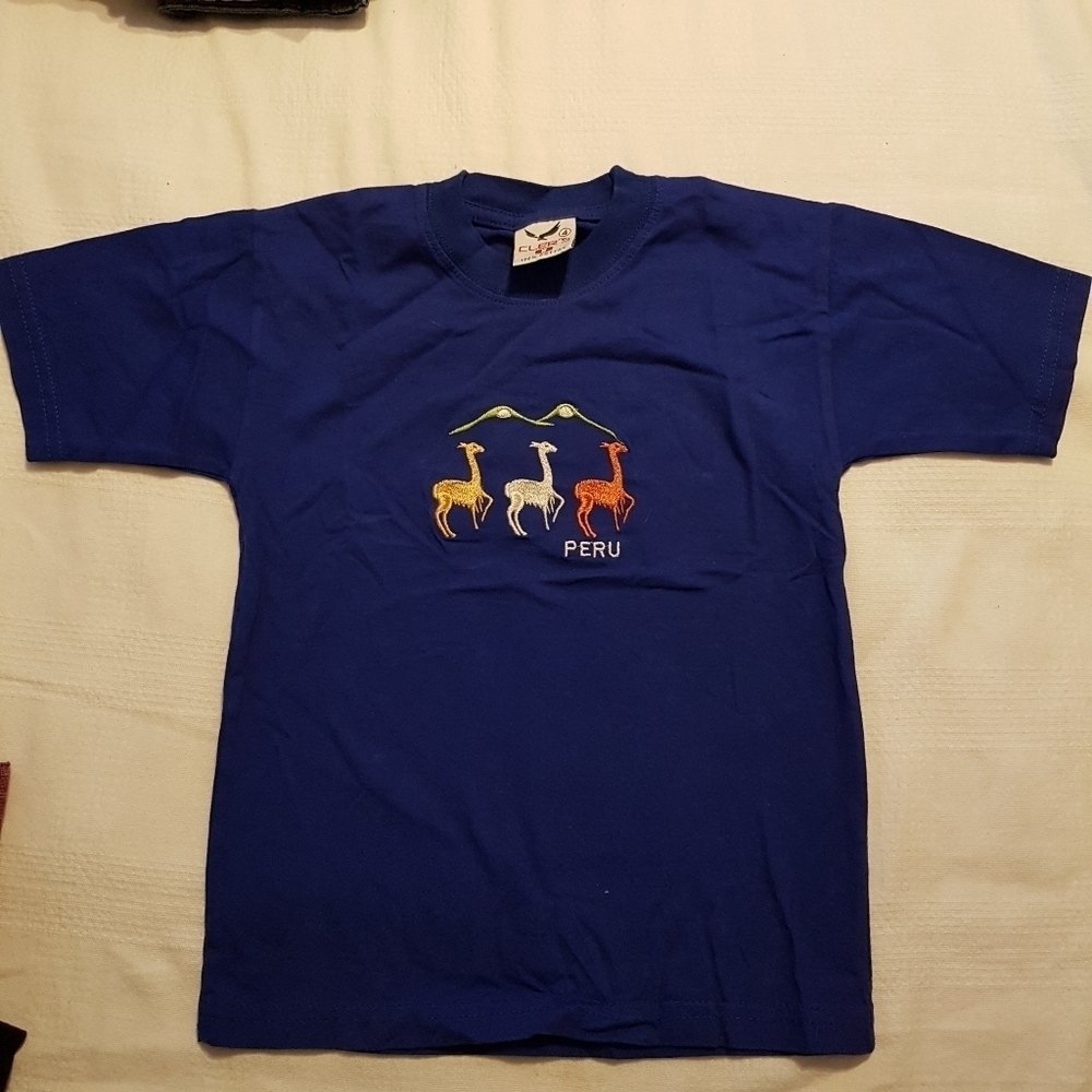 Peru boys size 4 blue embroidered shirt, EUC